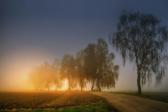 God’s Mercy Is New Every Morning: A Devotional Blog Post