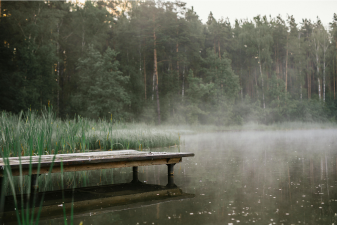 “Stay Close, Lord” – Psalm 22:11: A Devotional Blog Post