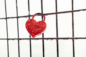 Trusting in God’s Guidance – A Lesson from Proverbs 3:5-6: A Devotional Blog Post